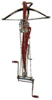 Arbalete 2.jpg