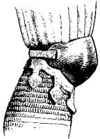 Genouillere 2.gif
