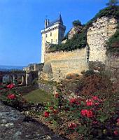 France,_Indre-et-Loire,_Chinon,_Chateau